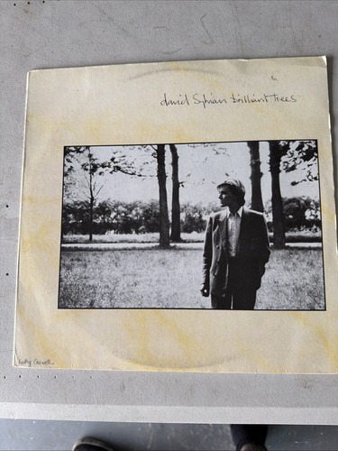 David Sylvian ‘Brilliant Trees’ Original Vinyl Record LP V2290 1984 - Picture 1 of 6