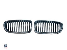 BMW 5 Series F10 F11 Radiator Air Inlet Front Bumper Grille Pair 7200728