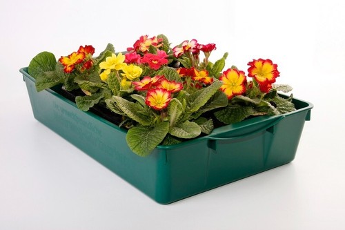 Gärtnerbox 20L Blumenschale Pflanzwanne Universalschale Saatschale Schale Wanne - Bild 3 von 23