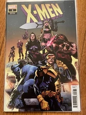 X-MEN 3 - Asrar variant D - MacKay Stegman From the Ashes - Marvel Comics 2024