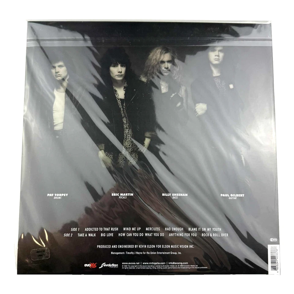 Mr. Big S/T Self Titled Blue Colored Vinyl LP Record RSD New Sealed - Image 3 of 4