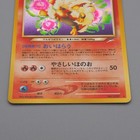 Foto 4 di 9