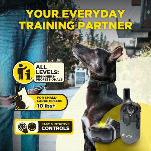 Dogtra 200iQ Remote Training 2-Dog Collar 1/2 Mile, Boost, STIM, Tone, Vibration - 第 14/24 張圖片