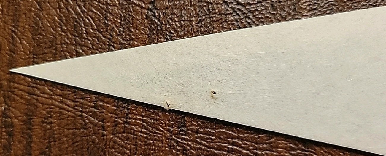 Picture 13 of 13