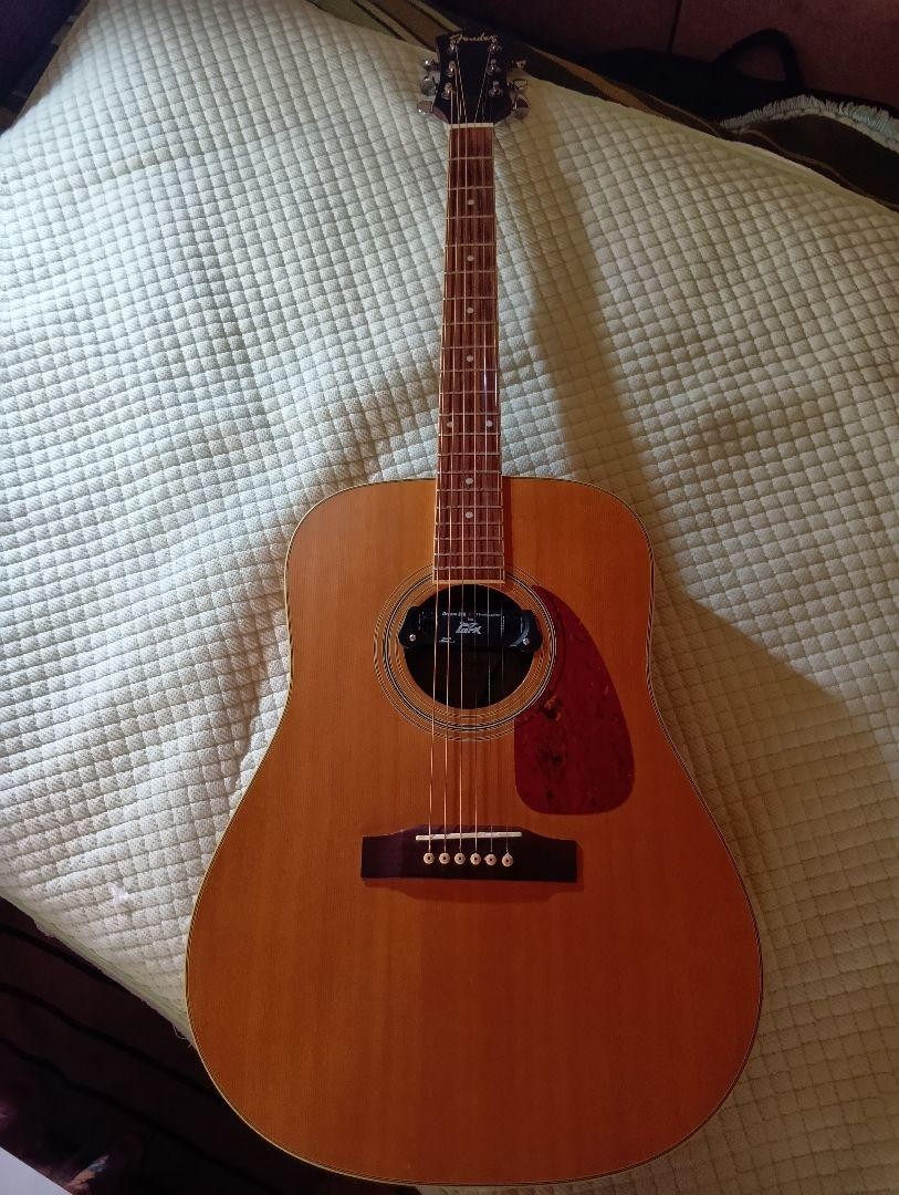 Fender Dg-16Nat Acoustic Guitar Hard Case With Pickup | eBay