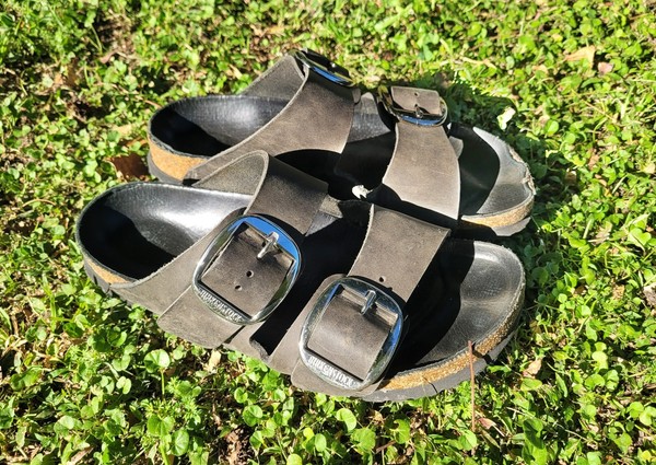 Birkenstock Arizona Big Buckle Oiled Leather Sandal Woman Size 37EUR L6US M4 240