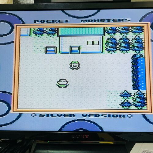 Pokemon Versión Plateada Nintendo Game Boy Color 2004 DMG-AAXJ-JPN Ahorra OK - Imagen 4 de 24