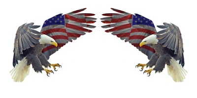 Two Bald Eagle USA American Flag Sticker Car Truck Laptop Decal Bumper Cooler