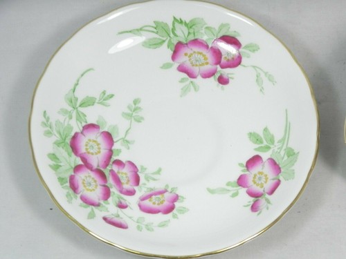 RARE 1955 ALBERTA 50th Anniv Royal Chelsea Wild Rose Bone China Cup & Sauce HTF - Picture 7 of 11
