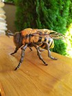 Foto 6 di 10