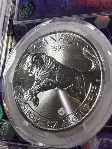 2016 Canada $5 Cougar Graded MS 69 by PCGS - Picture 7 of 8