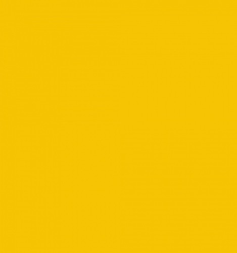 Quality STINGRAY Door Decal Racing Stripes 37.5" (Fits Chevy CORVETTE C6 & C7) - Picture 24 of 24