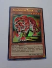 Amazoness Tiger LCJW-EN089  (Ultra Rare, 1st Edition, Near Mint / NM) Yugioh