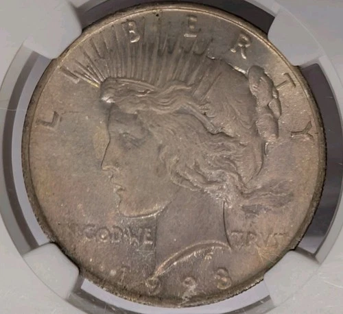 1923 Peace Silver Dollar NGC MS64 WILD Toned Original