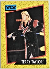 1991 WCW Wrestling IMPEL, You Pick 1-162 (Buy 4 get 45% off)