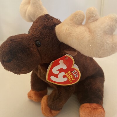 Ty Beanie Baby Zeus the Moose DOB October 23, 2002 MWMT | eBay