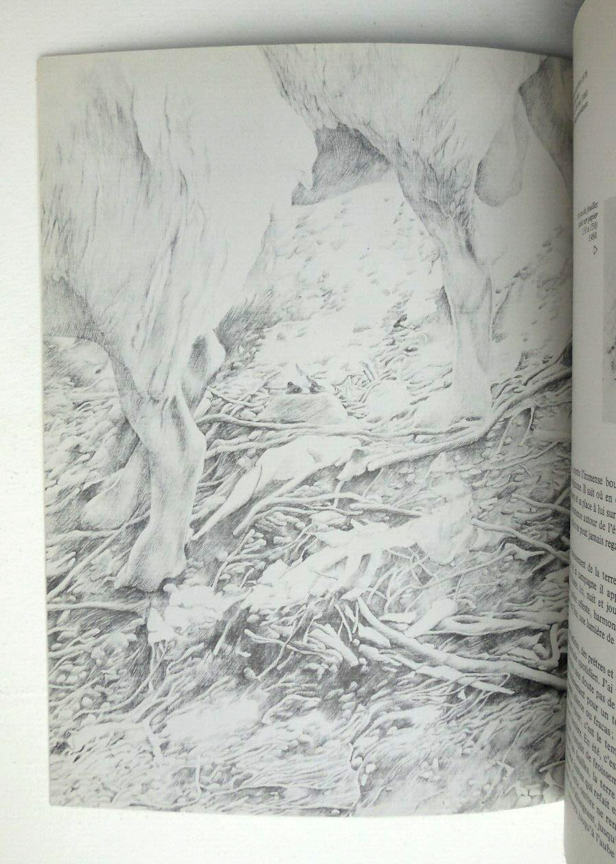 Picture 3 of 8