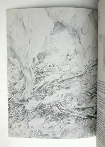 HENRI CUECO. paysage dessiné. Musée d'Art Moderne, Paris. 1982 - Picture 3 of 8
