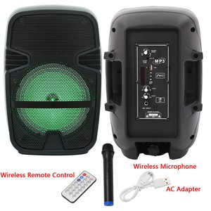 professional battery speaker system