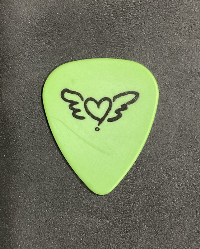 Nancy Wilson HEART 'Love Wins' 2009 Human Tour Guitar Pick