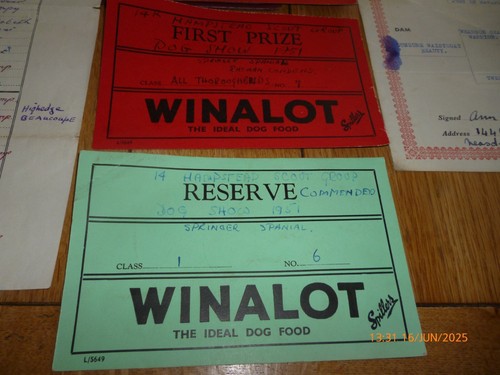 ENGLISH SPRINGER SPANIEL OUR DOGS PEDIGREE FORM x 2 1940s & LICENCE 1950 WINALOT - Picture 16 of 18