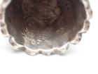 Picture 5 of 11