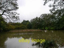 Photo 6x4 Fishpond, Beechwood Lane, Cooksbridge Looking south west from t c2005