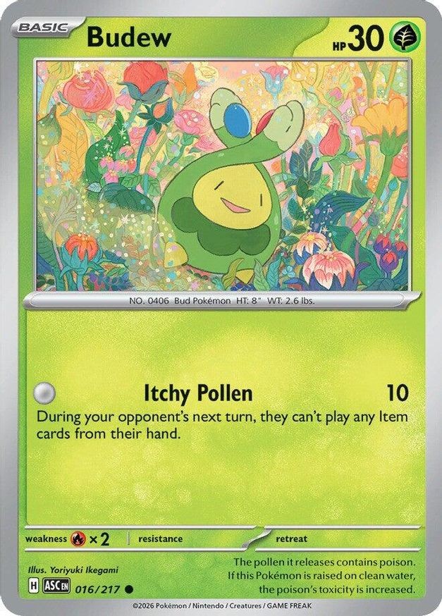 Pokemon Budew (16/575) Ascended Heroes NM