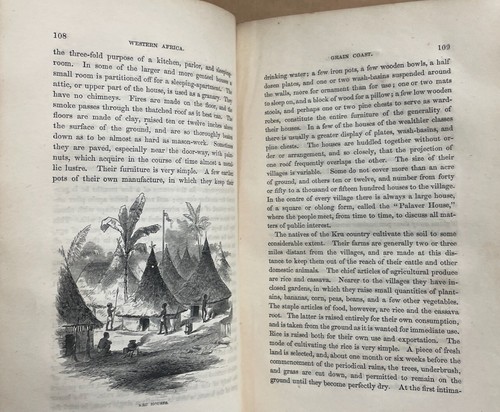 Western Africa. History Condition & Prospects / J. Leighton Wilson / 1856 ex-lib - Picture 9 of 13