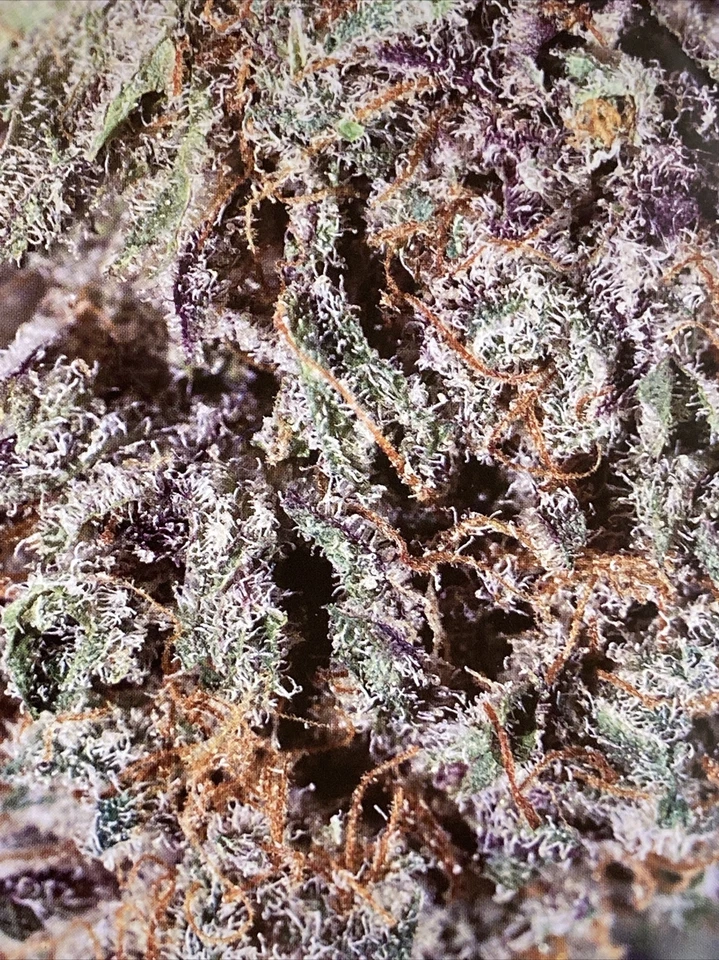 Bandeja enrollable premium "BUBBA KUSH SMALL" V-Syndicate nueva 7”x5,5” Foto 2 de 4