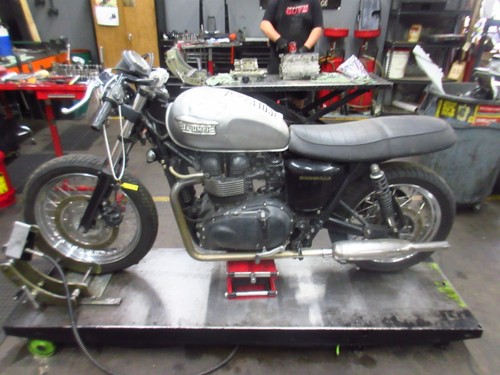 2004 01-08 Triumph Bonneville T100 OEM Seat Saddle Rider Passenger Cushion Pad - Picture 16 of 16