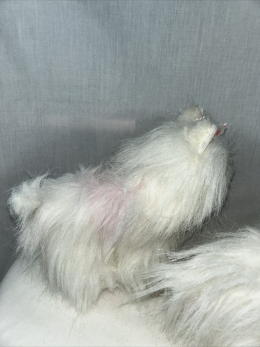 2 Webkinz Ganz White Yorkie HM070 Plush 7" Stuffed Animal Toy - Picture 4 of 16