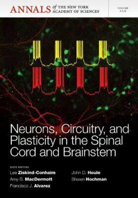 Neurons, Circuitry, and Plasticity in the Spina, ZiskindConhaim, MacDermott+=