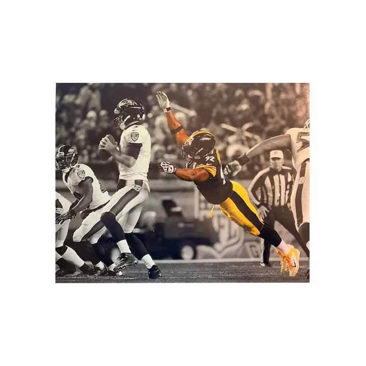 James harrison alternate clearance jersey