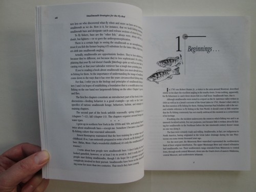Smallmouth Strategies for the Fly Rod by Will Ryan - Foto 7 di 12