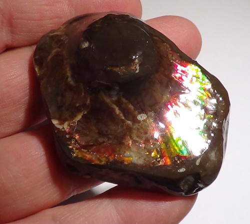 54 Gramm.!! Sammler Ammonite /Drachenschuppe Rot-Grün-Golden-Orange + VIDEO - Picture 6 of 6