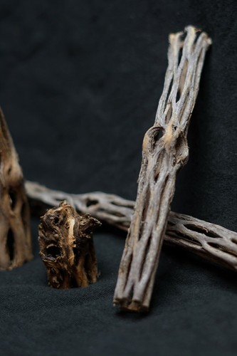 1 Inch Premium cholla wood, Untreated ! - Picture 5 of 7
