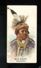 1888 N2 Allen & Ginter American Indian Chiefs Big Bear VG/EX