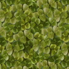 Michael Miller - Flower Fairies Of The Autumn - Shadow Leaves - Fern, BTY