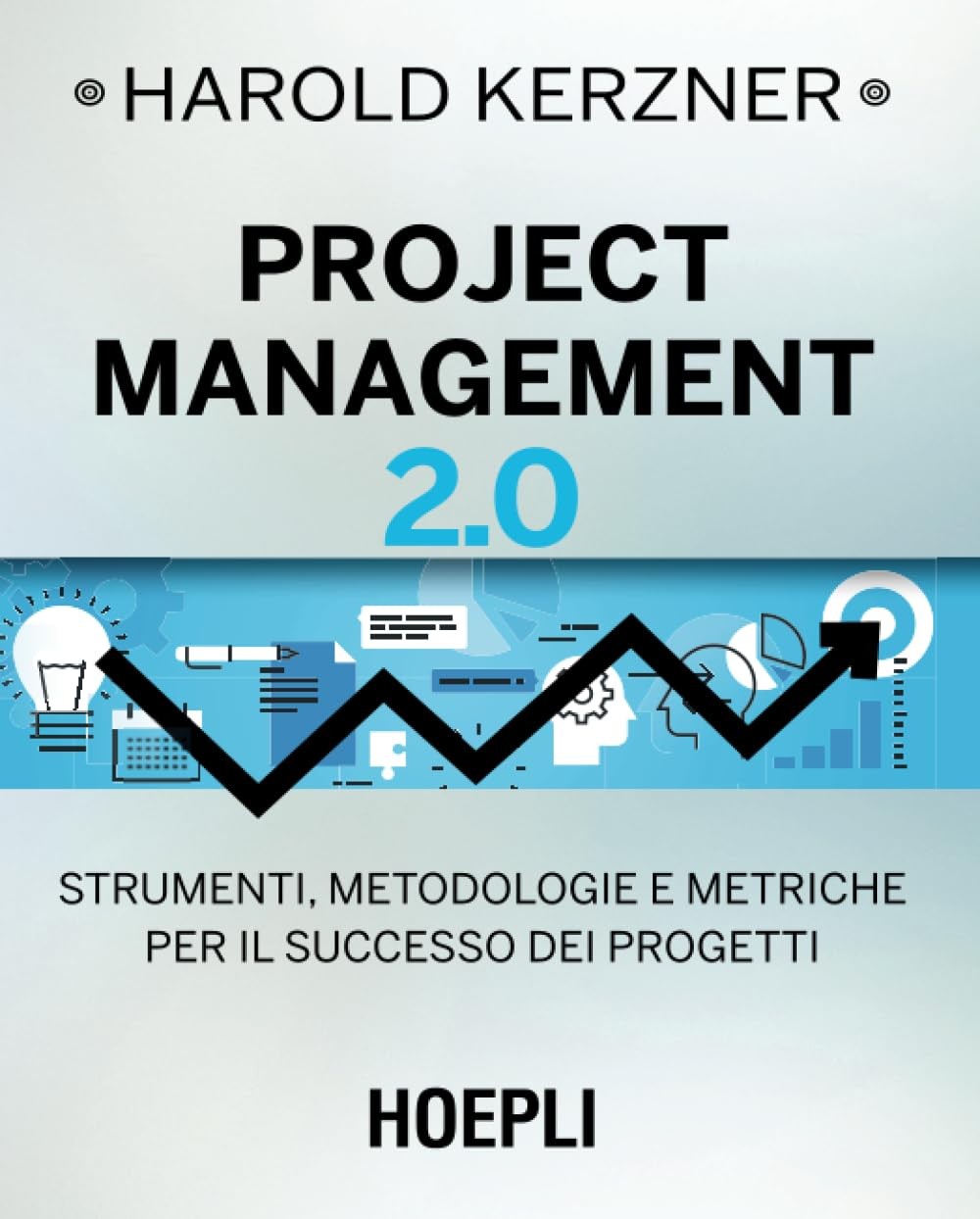 Мария Роберта С. Управление проектами 2.0: Струменты, метод (в мягкой обложке) (ИМПОРТ ИЗ Великобритании)