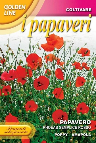 600 Semi / Seeds PAPAVERO Rhoeas Semplice Rosso