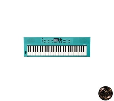 Roland GOKEYS3-TQ 61-Tasten Elektronisches Keyboard mit Bluetooth App Aufnahme