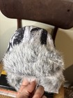 Picture 4 of 7