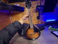 Mandolin With Case And Stand