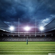 10'x10'Computer-painted Football Court/Sports Scenic background backdrop BHF1712