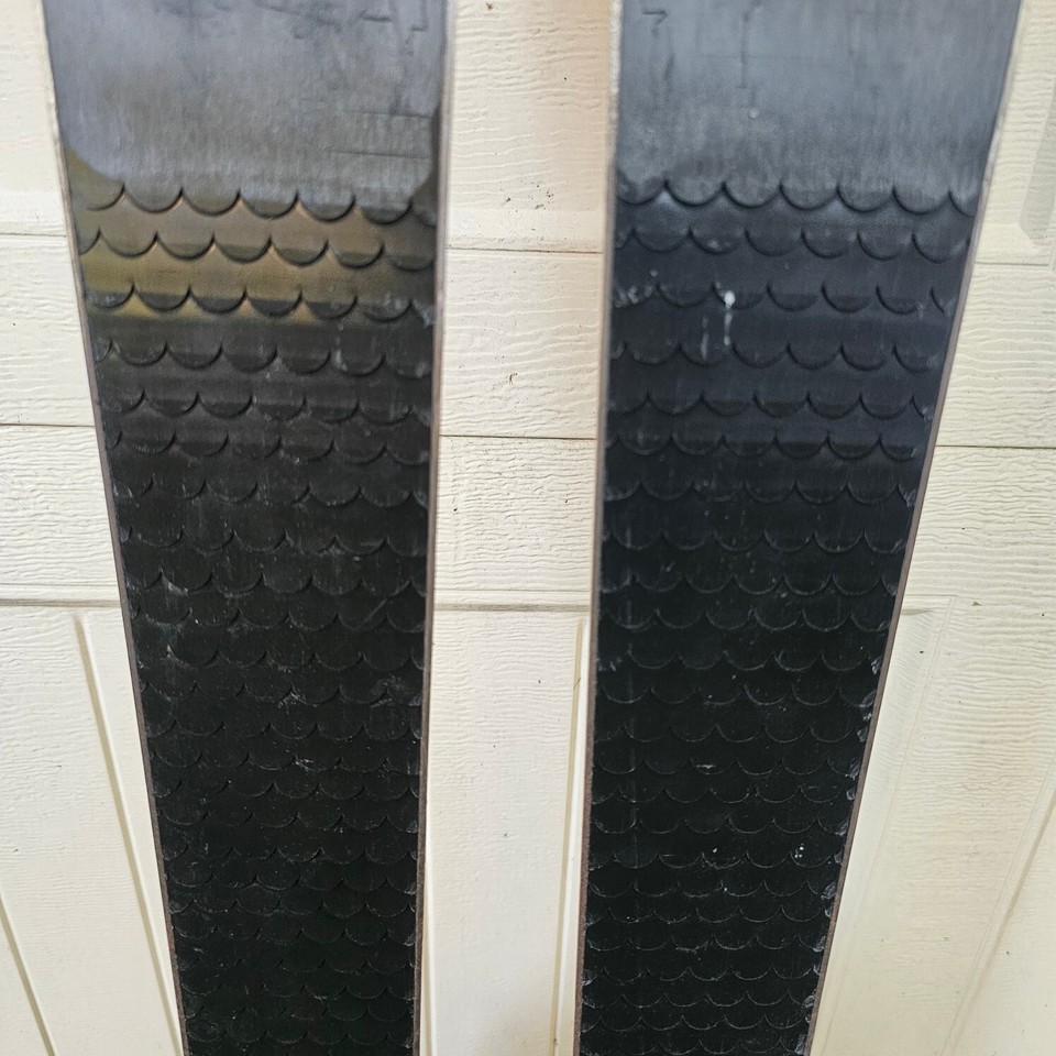 New Alpina Telemark 166 Skis with Rotefella Bindings New never skied