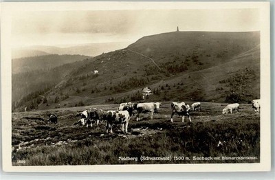39359180 - 7828 Feldberg Cattle Pasture Seebruck Bismarck Monument