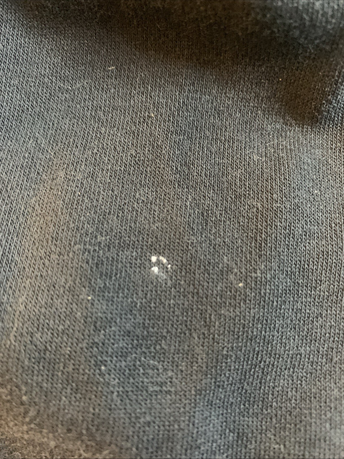 Picture 8 of 10