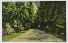 Lake Worth FL-Florida, Ocean Boulevard Between Delray Beach, Linen Postcard