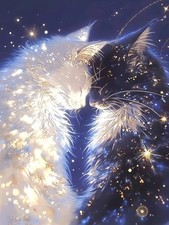 Paint by Numbers for Adults Beginner, White and Black Cat Adult Paint by Number